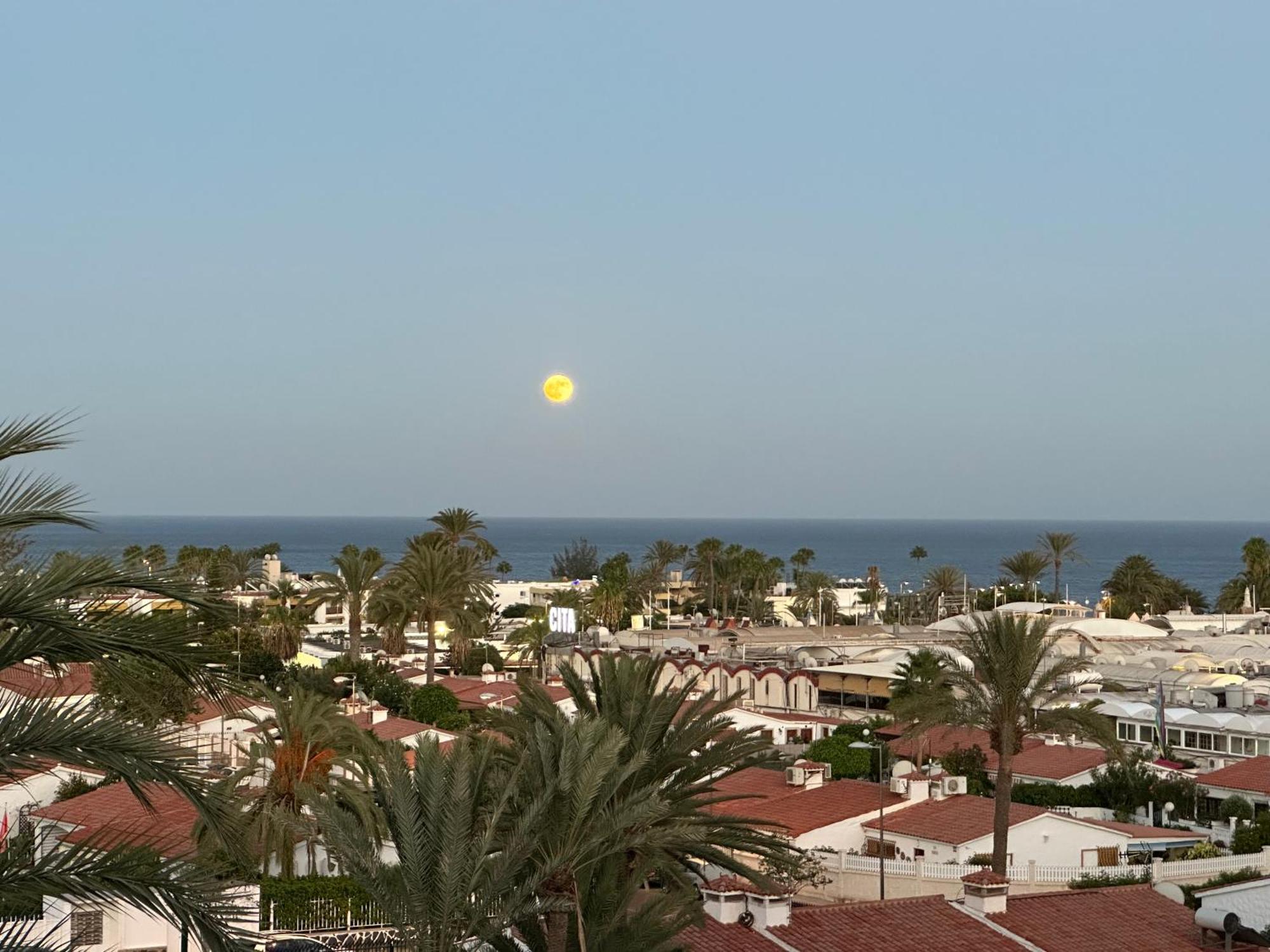 Apartamento Tamaran Sky Playa del Ingles  Exterior foto